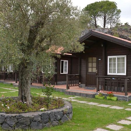 Etna Hut Bed and Breakfast Nicolosi Buitenkant foto
