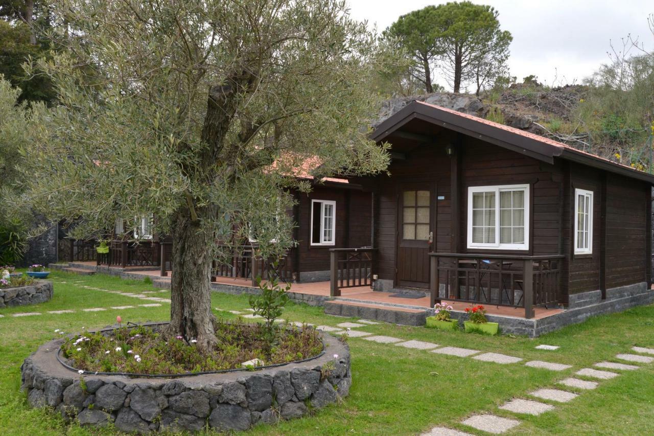 Etna Hut Bed and Breakfast Nicolosi Buitenkant foto